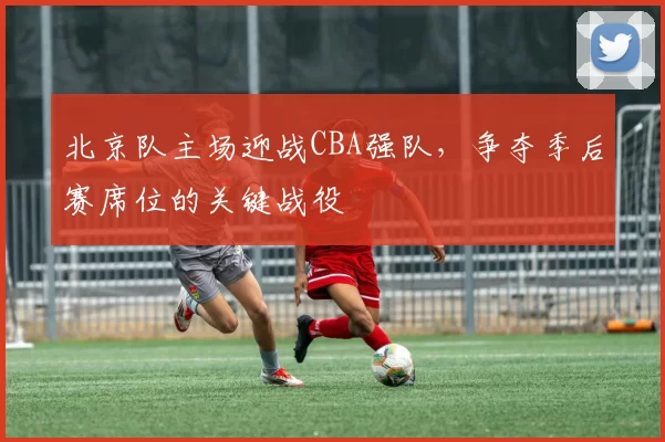 北京队主场迎战CBA强队，争夺季后赛席位的关键战役