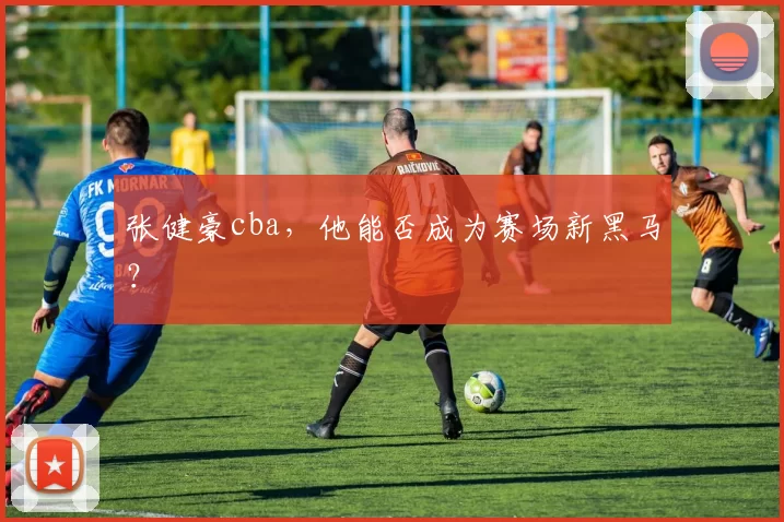 张健豪cba,他能否成为赛场新黑马?