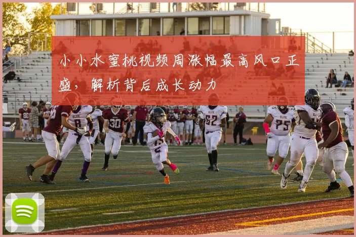 小小水蜜桃视频周涨幅最高风口正盛，解析背后成长动力