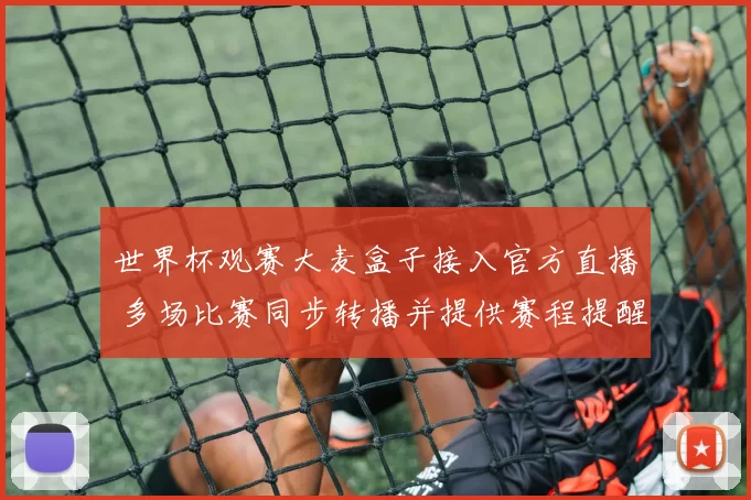 世界杯观赛大麦盒子接入官方直播 多场比赛同步转播并提供赛程提醒